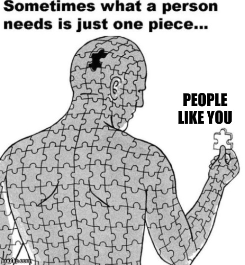 Puzzle | PEOPLE LIKE YOU | image tagged in puzzle | made w/ Imgflip meme maker