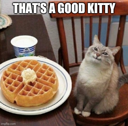 Cat likes their waffle | THAT'S A GOOD KITTY | image tagged in cat likes their waffle | made w/ Imgflip meme maker