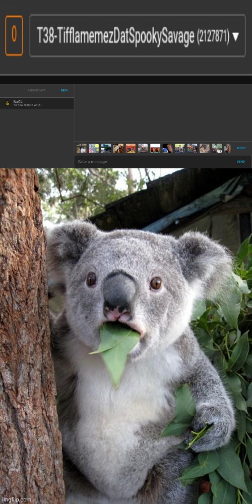 First, I clicked on the 0 notifs thing and then it showed this new feature, Memechat. | image tagged in memes,surprised koala,meme,imgflip,new feature,feature | made w/ Imgflip meme maker