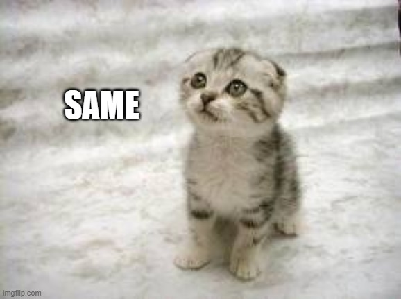 Sad Cat Meme | SAME | image tagged in memes,sad cat | made w/ Imgflip meme maker
