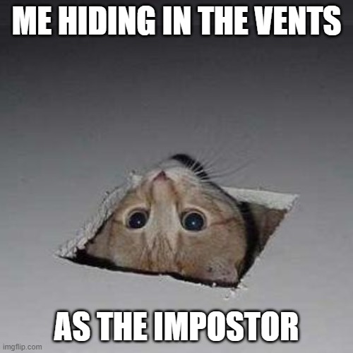 Ceiling Cat Meme | ME HIDING IN THE VENTS; AS THE IMPOSTOR | image tagged in memes,ceiling cat | made w/ Imgflip meme maker