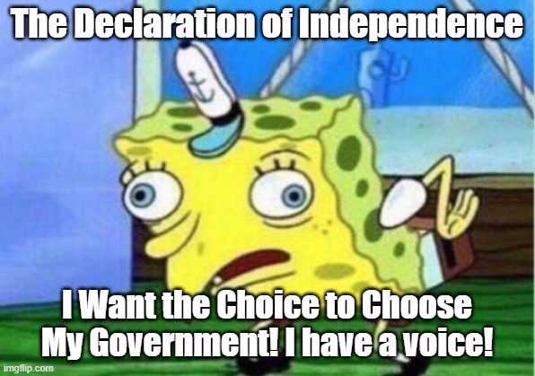 Declaration of Independence | The Declaration of Independence; I Want the Choice to Choose My Government! I have a voice! | image tagged in memes,mocking spongebob | made w/ Imgflip meme maker