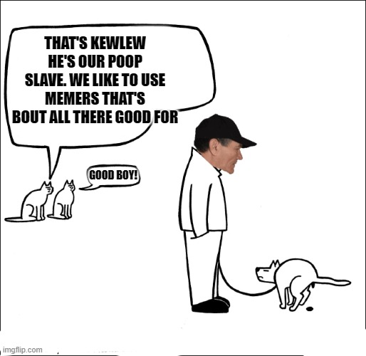 poop slave | THAT'S KEWLEW HE'S OUR POOP SLAVE. WE LIKE TO USE MEMERS THAT'S BOUT ALL THERE GOOD FOR; GOOD BOY! | image tagged in poop,slave | made w/ Imgflip meme maker