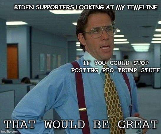 Trump 2020 | BIDEN SUPPORTERS LOOKING AT MY TIMELINE; IF YOU COULD STOP POSTING PRO-TRUMP STUFF; THAT WOULD BE GREAT | image tagged in that would be great,trump 2020,haters,joe biden,funny | made w/ Imgflip meme maker