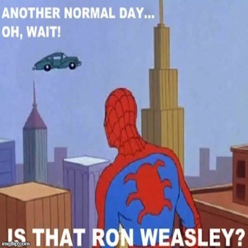 Spiderman meets Ron Weasley | image tagged in harry potter,harry potter meme,spiderman,marvel | made w/ Imgflip meme maker