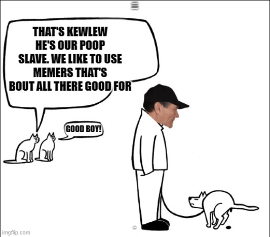 poop slave | THATS KEWLEW HES OUR POOP SLAVE WE LIKE TO USE MEMERS THATS BOUT ALL THERE GOOD FOR; GOOD BOY! | image tagged in poop,slave | made w/ Imgflip meme maker