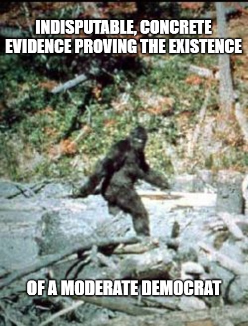 big foot | INDISPUTABLE, CONCRETE EVIDENCE PROVING THE EXISTENCE; OF A MODERATE DEMOCRAT | image tagged in big foot | made w/ Imgflip meme maker