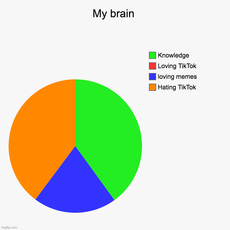My brain | Hating TikTok, loving memes, Loving TikTok, Knowledge | image tagged in charts,pie charts | made w/ Imgflip chart maker
