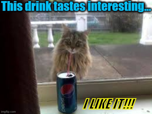 Pepsi cat | This drink tastes interesting... I LIKE IT!!! | image tagged in pepsi cat | made w/ Imgflip meme maker
