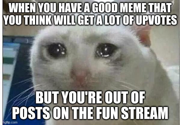 So sad. . . | WHEN YOU HAVE A GOOD MEME THAT YOU THINK WILL GET A LOT OF UPVOTES; BUT YOU'RE OUT OF POSTS ON THE FUN STREAM | image tagged in crying cat | made w/ Imgflip meme maker