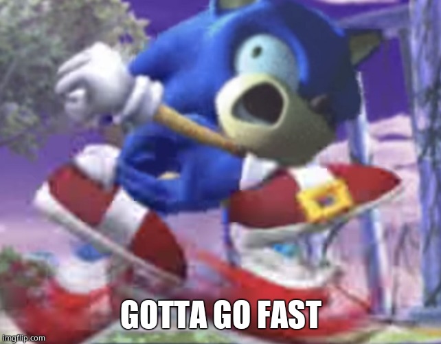 gotta go fast | GOTTA GO FAST | image tagged in gotta go fast | made w/ Imgflip meme maker