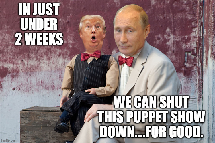 Embrace America.  Embrace Unity. Embrace Constitutional Values. Anyone but tRUMPf!!!!! | IN JUST UNDER 2 WEEKS; WE CAN SHUT THIS PUPPET SHOW DOWN....FOR GOOD. | image tagged in vote blue,biden 2020,constitution | made w/ Imgflip meme maker