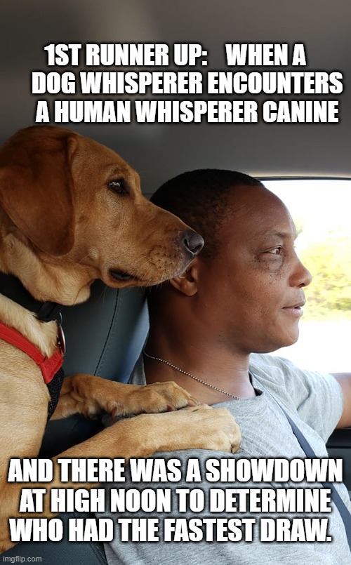 dog whisperer | 1ST RUNNER UP:    WHEN A      DOG WHISPERER ENCOUNTERS      A HUMAN WHISPERER CANINE; AND THERE WAS A SHOWDOWN AT HIGH NOON TO DETERMINE WHO HAD THE FASTEST DRAW. | image tagged in who is a good boy | made w/ Imgflip meme maker