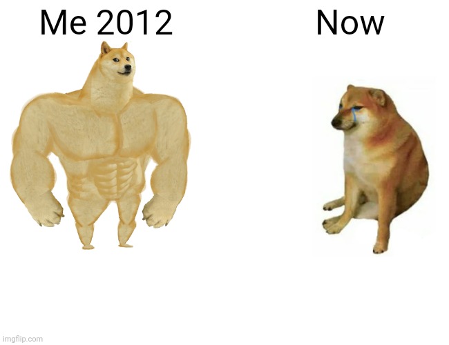 Buff Doge vs. Cheems Meme | Me 2012; Now | image tagged in memes,buff doge vs cheems | made w/ Imgflip meme maker