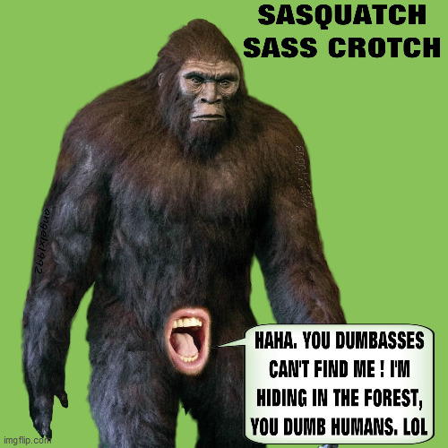 image tagged in sasquatch,bigfoot,sassy,sass,mouth,monster | made w/ Imgflip meme maker