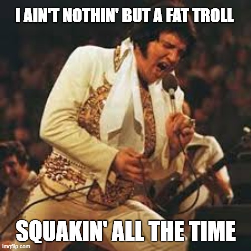 I AIN'T NOTHIN' BUT A FAT TROLL SQUAKIN' ALL THE TIME | made w/ Imgflip meme maker