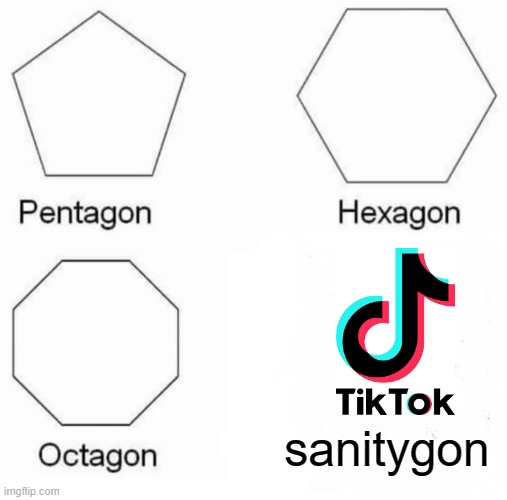 Tik tok meme | sanitygon | image tagged in memes,pentagon hexagon octagon | made w/ Imgflip meme maker