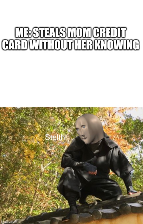 Stelth | ME: STEALS MOM CREDIT CARD WITHOUT HER KNOWING | image tagged in blank white template,funny,memes,stonks | made w/ Imgflip meme maker
