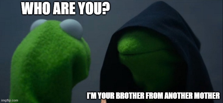 Evil Kermit | WHO ARE YOU? I'M YOUR BROTHER FROM ANOTHER MOTHER | image tagged in memes,evil kermit | made w/ Imgflip meme maker