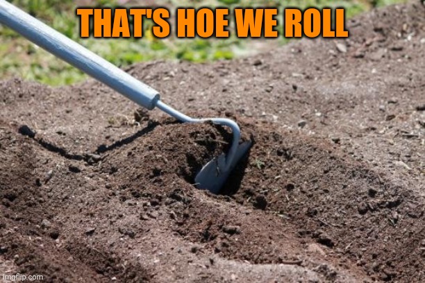 garden hoe | THAT'S HOE WE ROLL | image tagged in garden hoe | made w/ Imgflip meme maker