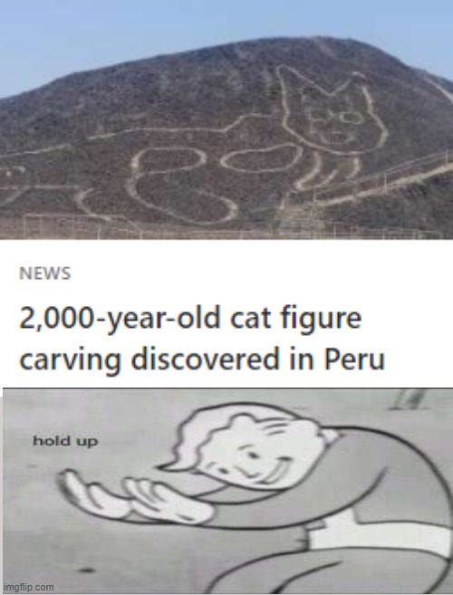 image tagged in cat,peru,fallout hold up | made w/ Imgflip meme maker