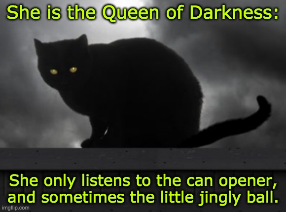 Cat of darkness | She is the Queen of Darkness:; She only listens to the can opener,
and sometimes the little jingly ball. | image tagged in cat,black cat | made w/ Imgflip meme maker