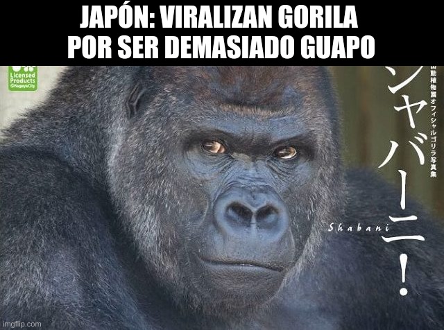 4j4o0q.jpg