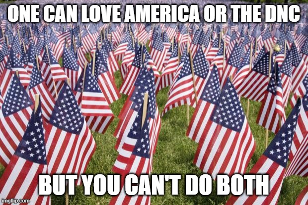 20,000 American Flags |  ONE CAN LOVE AMERICA OR THE DNC; BUT YOU CAN'T DO BOTH | image tagged in 20 000 american flags | made w/ Imgflip meme maker