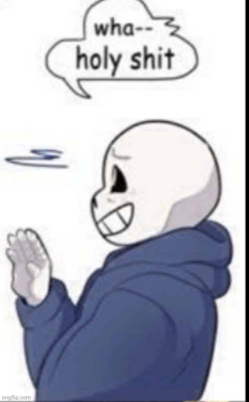 Sans holy shit | image tagged in sans holy shit | made w/ Imgflip meme maker