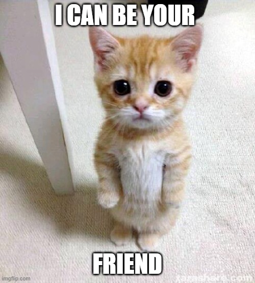 Cute Cat Meme | I CAN BE YOUR FRIEND | image tagged in memes,cute cat | made w/ Imgflip meme maker