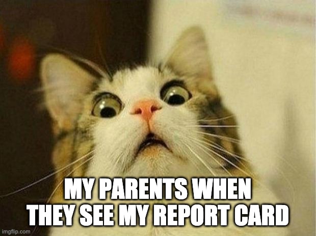 Scared Cat | MY PARENTS WHEN THEY SEE MY REPORT CARD | image tagged in memes,scared cat | made w/ Imgflip meme maker