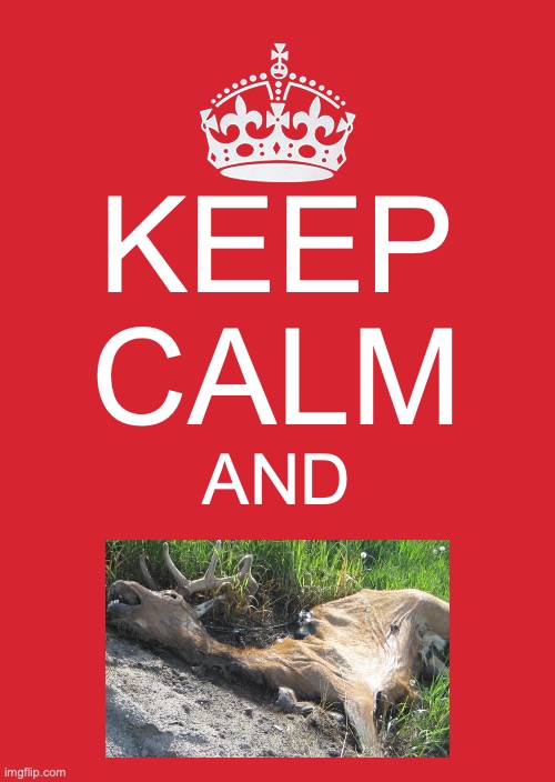 The Lady On The Plane | KEEP CALM; AND | image tagged in memes,keep calm and carry on red,deer,pun | made w/ Imgflip meme maker