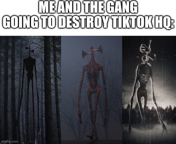 ME AND THE GANG GOING TO DESTROY TIKTOK HQ: | image tagged in blank white template,siren head,realistic siren head,tiktok,tik tok | made w/ Imgflip meme maker