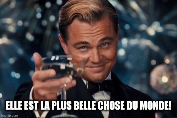 Leonardo Dicaprio Cheers Meme | ELLE EST LA PLUS BELLE CHOSE DU MONDE! | image tagged in memes,leonardo dicaprio cheers | made w/ Imgflip meme maker