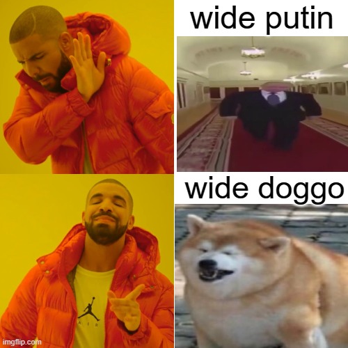 Drake Hotline Bling Meme | wide doggo wide putin | image tagged in memes,drake hotline bling | made w/ Imgflip meme maker