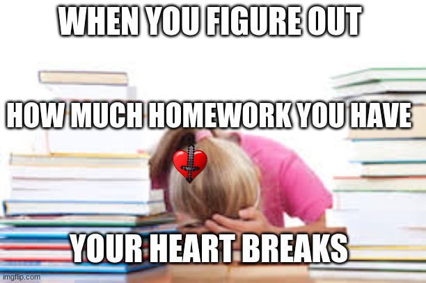 homework | WHEN YOU FIGURE OUT; HOW MUCH HOMEWORK YOU HAVE; YOUR HEART BREAKS | image tagged in homework | made w/ Imgflip meme maker