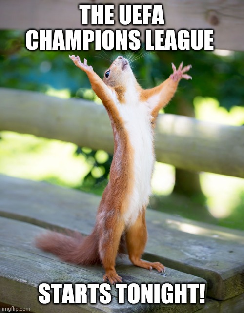 Tonight! | THE UEFA CHAMPIONS LEAGUE; STARTS TONIGHT! | image tagged in happy squirrel,memes,uefa champions league,champions league | made w/ Imgflip meme maker