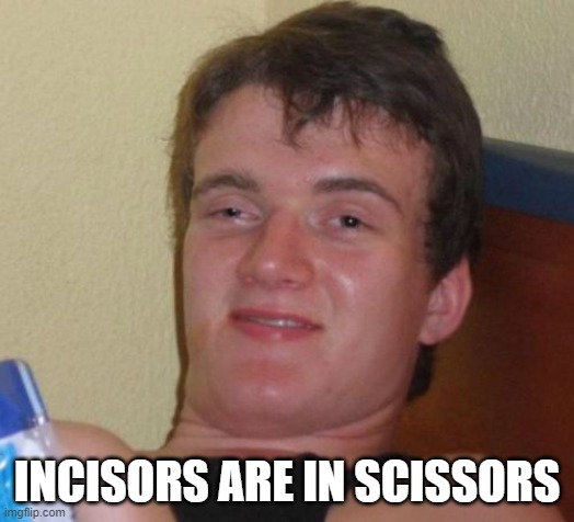 Incisors are in scissors. | INCISORS ARE IN SCISSORS | image tagged in memes,10 guy | made w/ Imgflip meme maker