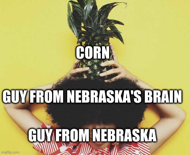 corn | CORN; GUY FROM NEBRASKA'S BRAIN; GUY FROM NEBRASKA | image tagged in pineapple girl | made w/ Imgflip meme maker
