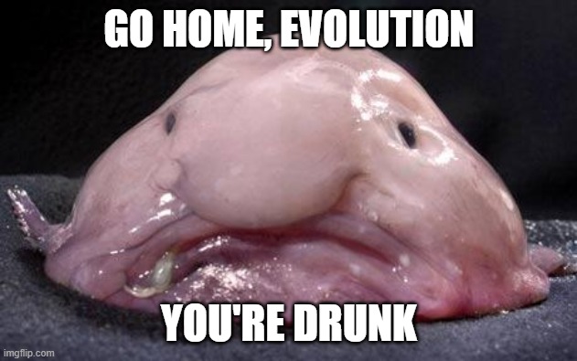 Blobfish | GO HOME, EVOLUTION YOU'RE DRUNK | image tagged in blobfish | made w/ Imgflip meme maker