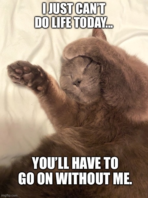 Can’t Do Life | I JUST CAN’T DO LIFE TODAY... YOU’LL HAVE TO GO ON WITHOUT ME. | image tagged in cats,sick,animals,headache,work | made w/ Imgflip meme maker