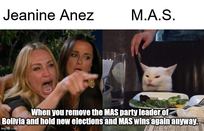 Woman yelling at cat M.A.S. MAS | Jeanine Anez; M.A.S. When you remove the MAS party leader of Bolivia and hold new elections and MAS wins again anyway. | image tagged in memes,woman yelling at cat,bolivia,mas,political meme | made w/ Imgflip meme maker