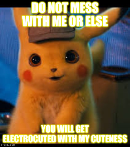 this is my other pokemon | DO NOT MESS WITH ME OR ELSE; YOU WILL GET ELECTROCUTED WITH MY CUTENESS | image tagged in funny meme | made w/ Imgflip meme maker