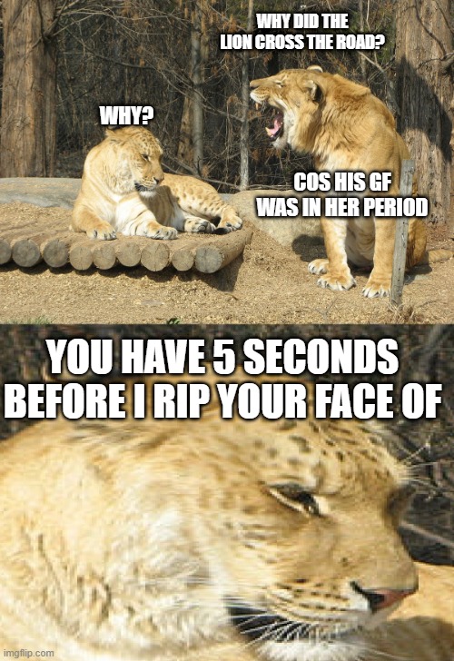 Carl Screwed Up | WHY DID THE LION CROSS THE ROAD? WHY? COS HIS GF WAS IN HER PERIOD; YOU HAVE 5 SECONDS BEFORE I RIP YOUR FACE OF | image tagged in carl the liger,memes | made w/ Imgflip meme maker