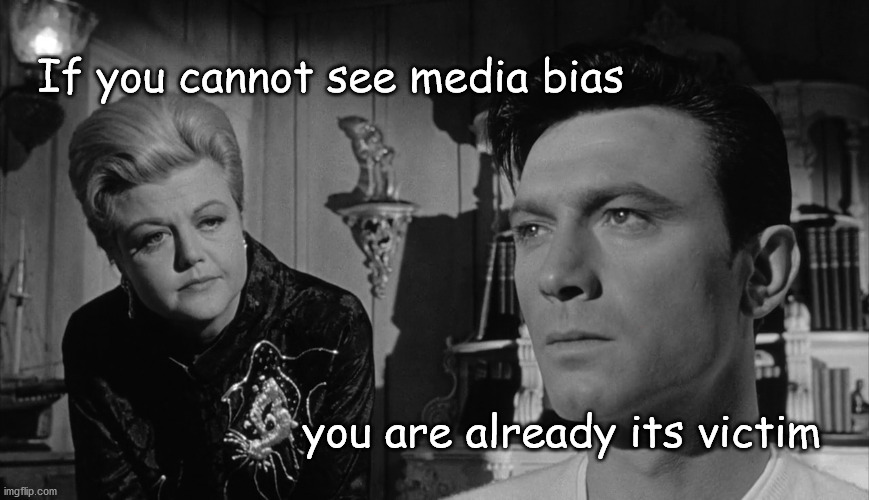 media bias | If you cannot see media bias; you are already its victim | image tagged in politics | made w/ Imgflip meme maker