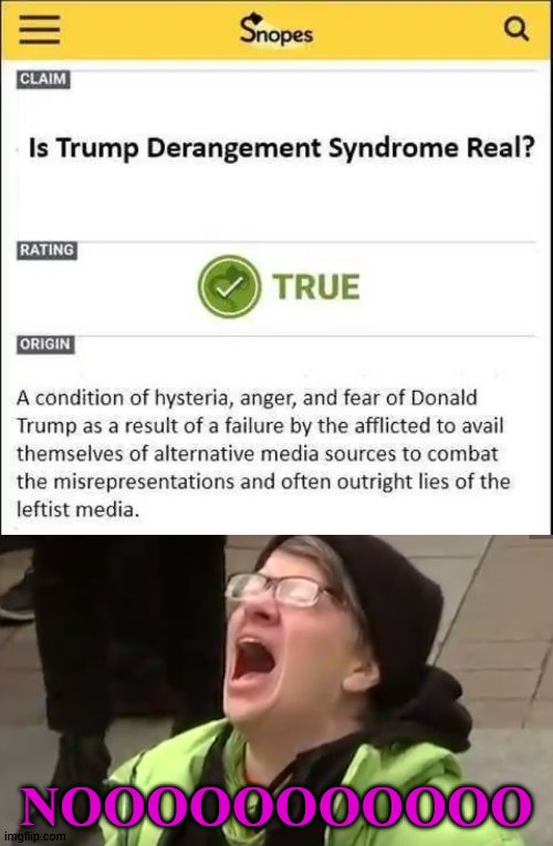 This is why they are cheating and throwing away ballots in many states. | NOOOOOOOOOOO | image tagged in screaming liberal,trump derangement syndrome | made w/ Imgflip meme maker