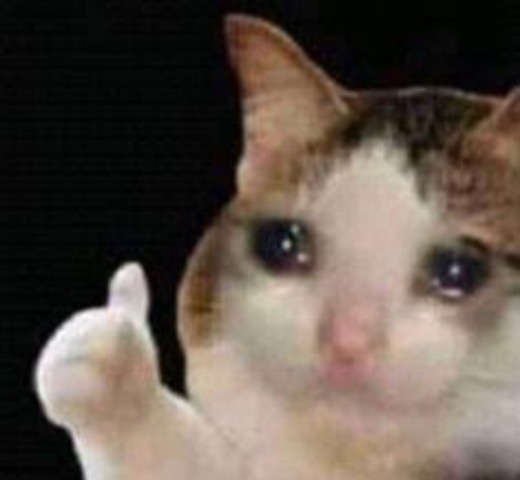 Approved crying cat | image tagged in approved crying cat | made w/ Imgflip meme maker