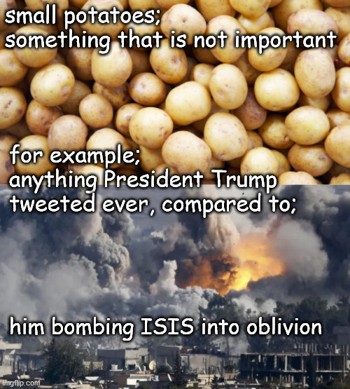 small potatoes | small potatoes;
something that is not important; for example;
anything President Trump 
tweeted ever, compared to;; him bombing ISIS into oblivion | image tagged in money in politics | made w/ Imgflip meme maker
