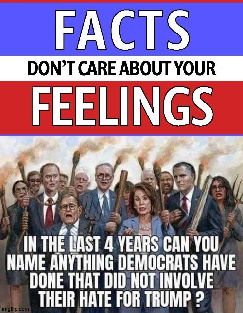 They hate someone outside the system that they can not control | image tagged in feelings,trump derangement syndrome,democrats,rino | made w/ Imgflip meme maker