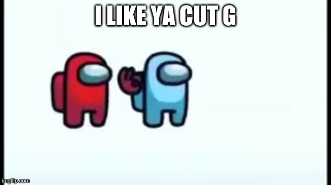 i like ya cut g | I LIKE YA CUT G | image tagged in among us,i like ya cut g | made w/ Imgflip meme maker